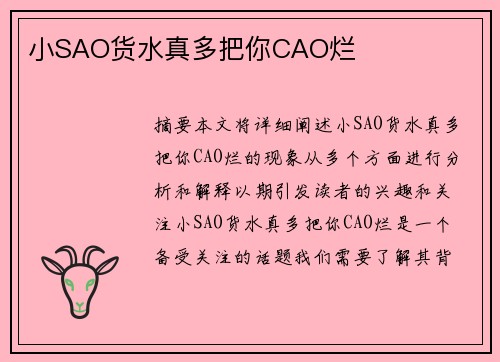 小SAO貨水真多把你CAO爛