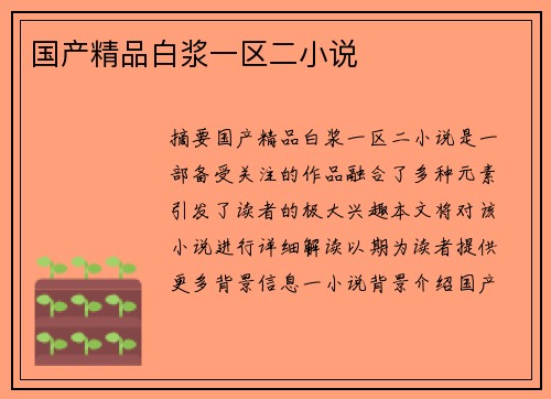 國產(chǎn)精品白漿一區(qū)二小說